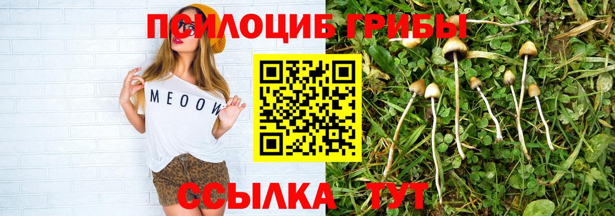 Красноуфимск  Галлюциногенные грибы GOLDEN TEACHER  как найти наркотики  Вход с VPN 